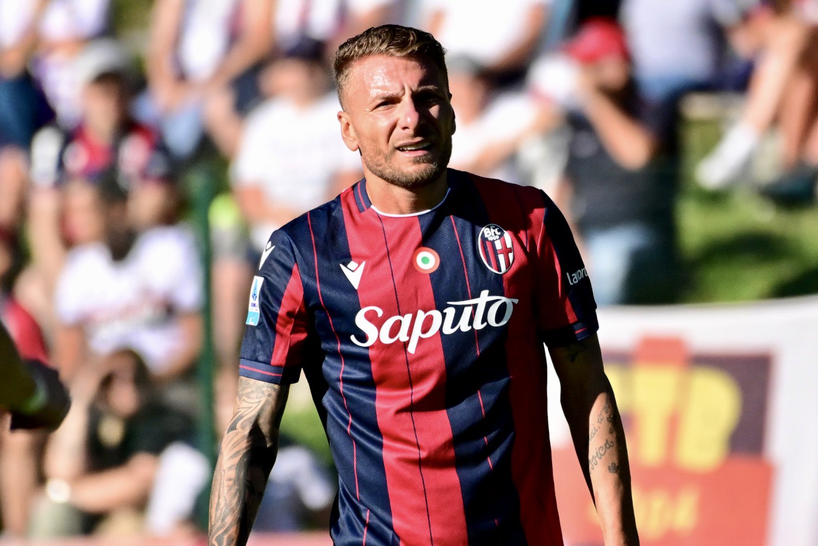ciro immobile in maglia bologna